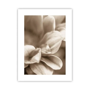 Affiche - Poster - Doux comme un sourire - 30x40 cm