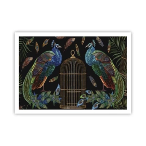 Affiche - Poster - Paons à côté d'une cage dorée sur fond noir - 100x70cm - En robes royales - Décoration murale moderne pour le salon et la chambre ARTTOR