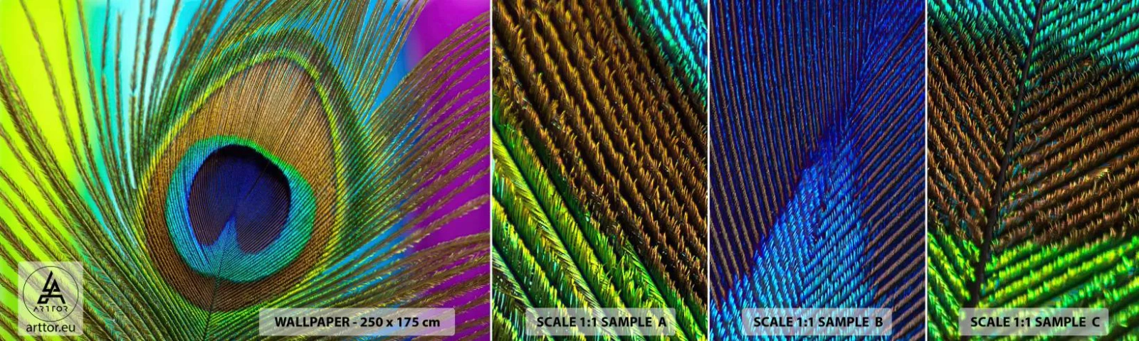 Échantillon de Papier Peint Autocollant Deluxe Sticker - Les yeux dans les yeux - Abstraction, Plume de paon, Morceau - 100x30 cm