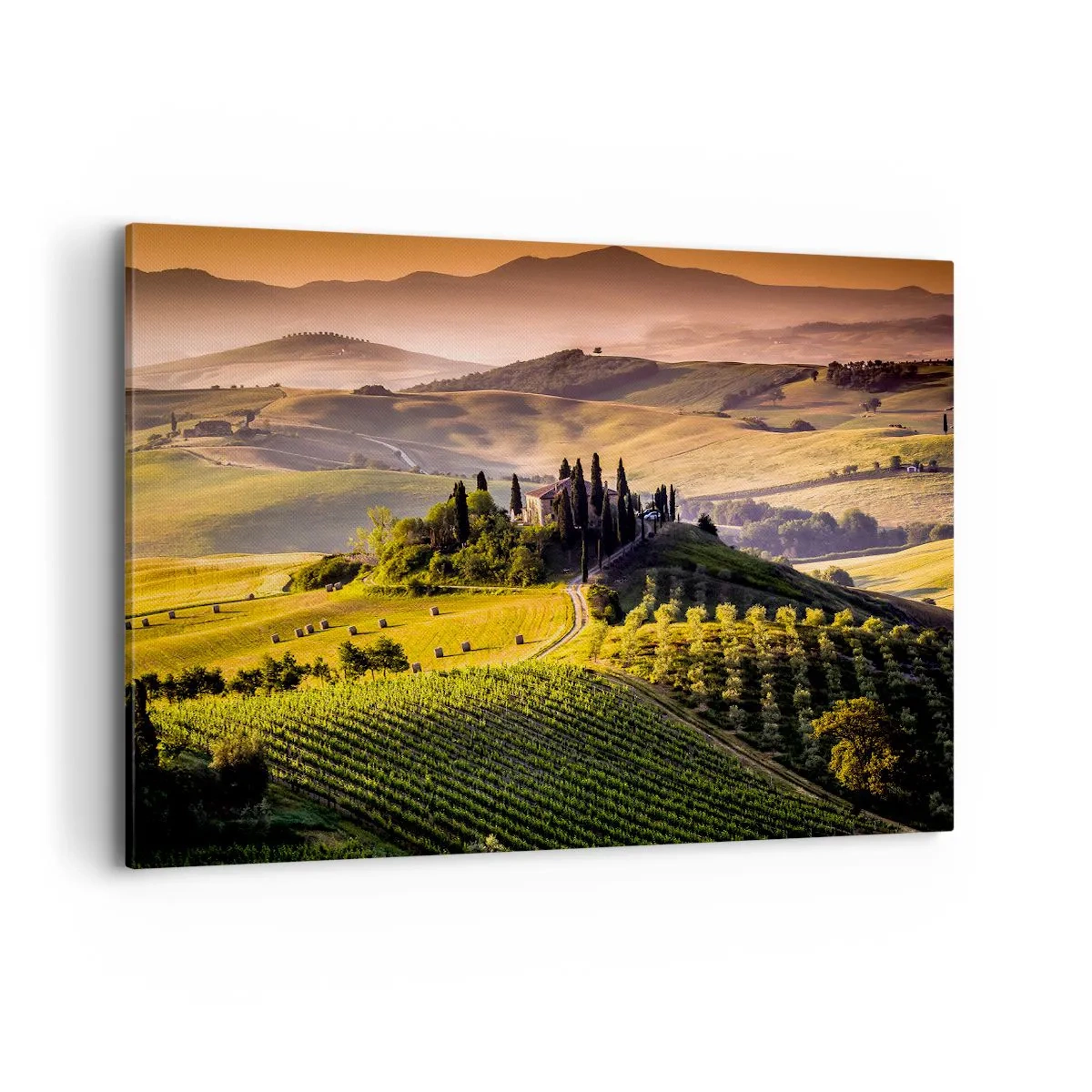 Impression sur toile - Image sur toile - Paysage toscan avec des vignes et une maison sur une colline - 120x80cm - Arcadie - le paysage toscan - Décoration murale moderne pour le salon et la chambre ARTTOR