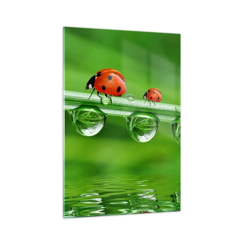 Impression sur verre - Image sur verre - Coccinelles sur un brin d'herbe avec des gouttes de rosée dans un cadre naturel - 70x100cm - Sur la route tout l'été - Décoration murale moderne pour le salon et la chambre ARTTOR