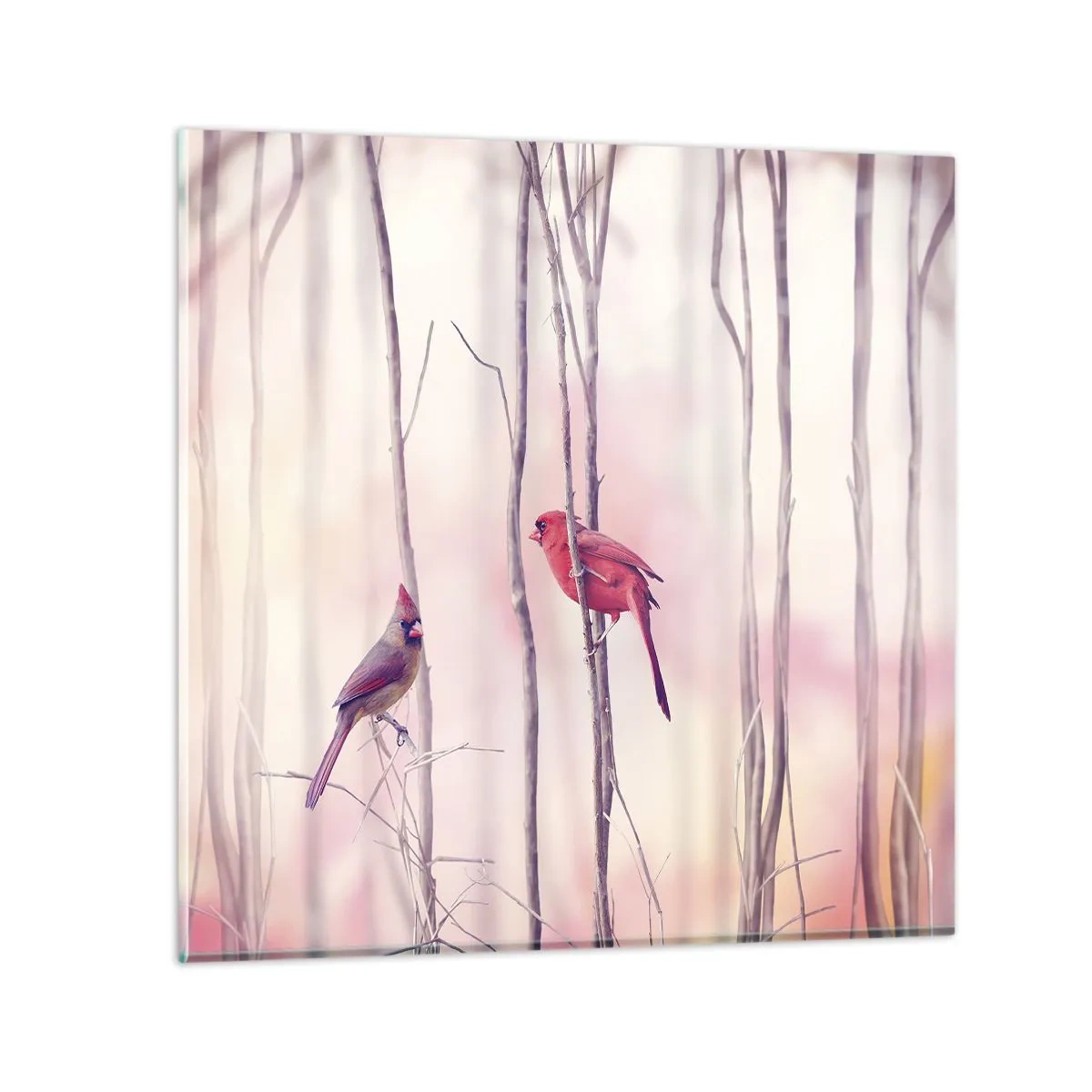 Impression sur verre - Image sur verre - Conte de la forêt rose - 50x50 cm