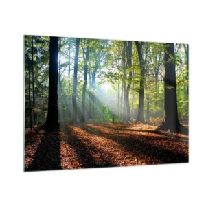 Impression sur verre - Image sur verre - Une forêt sous les rayons du soleil dans un paysage d'automne - 100x70cm - Ombres et lumières - Décoration murale moderne pour le salon et la chambre ARTTOR