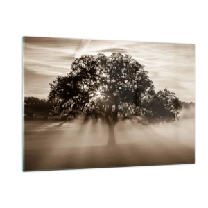 Impression sur verre - Image sur verre - Un arbre dans le brouillard matinal avec les rayons du soleil qui brillent à travers les branches - 120x80cm - Arbre de bonnes nouvelles - Décoration murale moderne pour le salon et la chambre ARTTOR