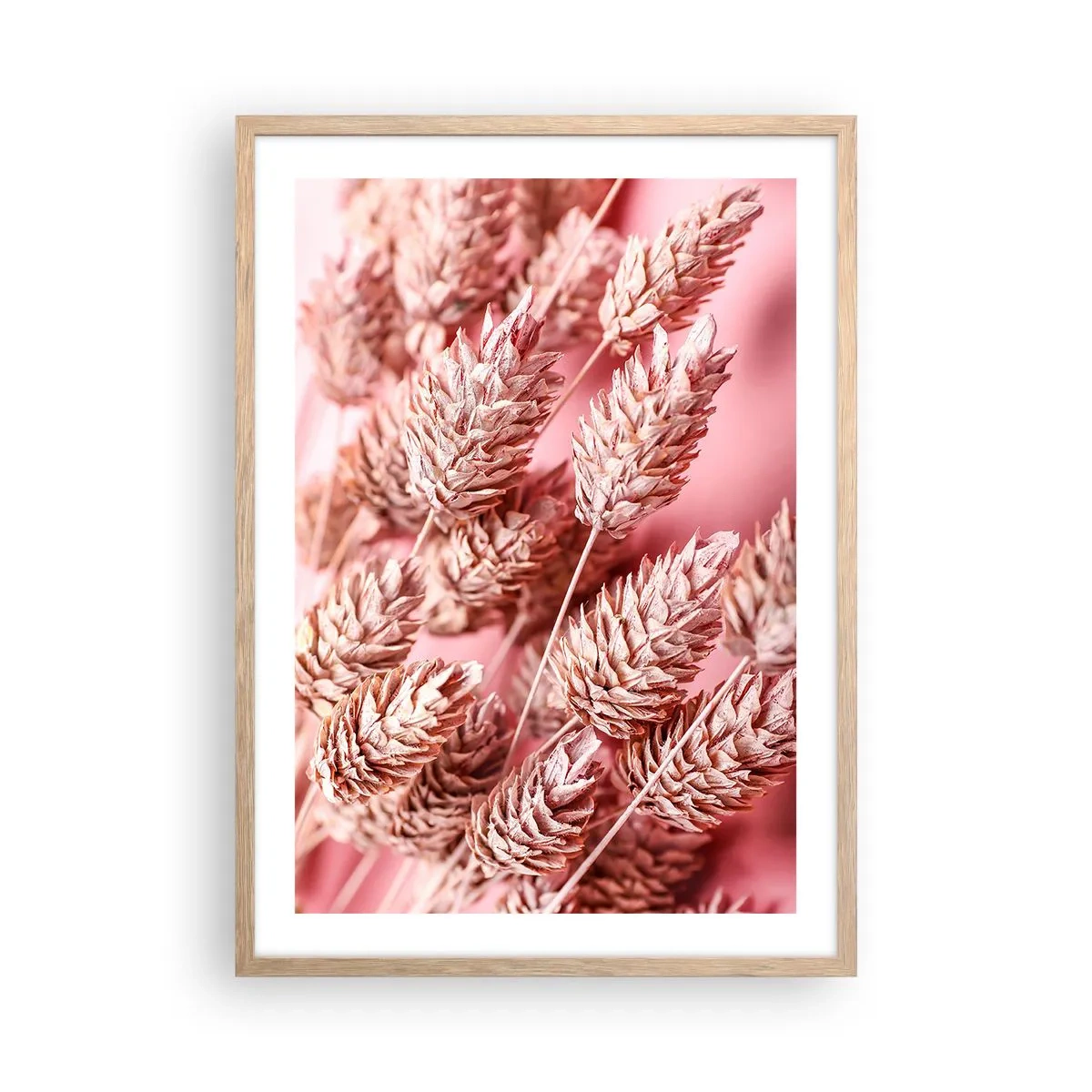 Affiche dans un chêne clair - Poster - Une cascade florale en rose - 50x70 cm