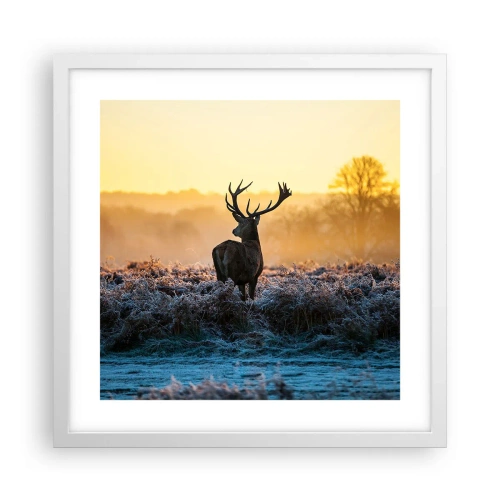 Affiche dans un cadre blanc - Poster - Couronné pour sa succession - 40x40 cm