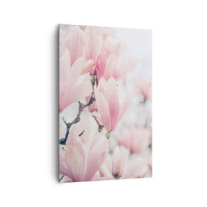 Impression sur toile - Image sur toile - Fleurs de magnolia subtiles aux délicates nuances roses - 80x120cm - Idéal de la subtilité - Décoration murale moderne pour le salon et la chambre ARTTOR