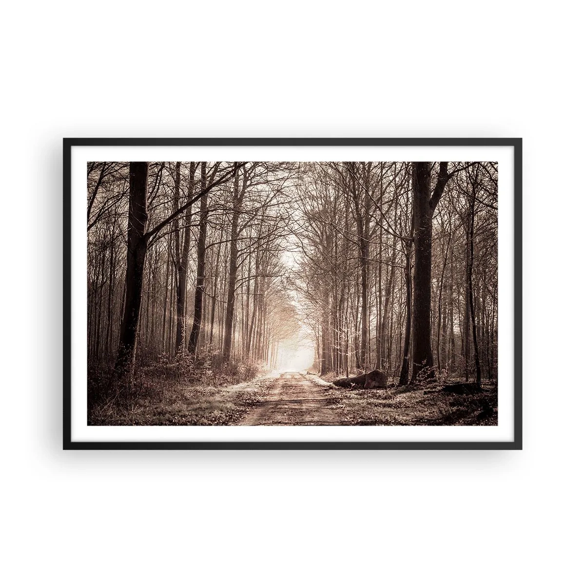 Affiche dans un cadre noir - Poster - Cathédrale de la forêt - 91x61 cm