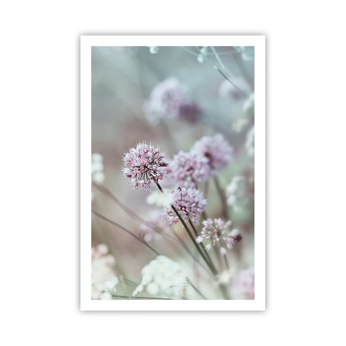 Affiche - Poster - Herbes douces en filigrane - 61x91 cm