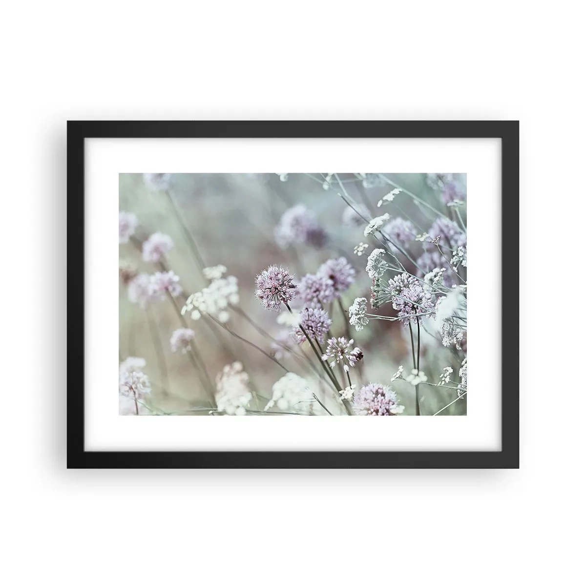 Affiche dans un cadre noir - Poster - Herbes douces en filigrane - 40x30 cm