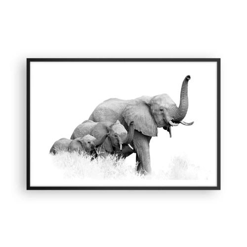 Affiche dans un cadre noir - Poster - Un, deux, trois - 91x61 cm