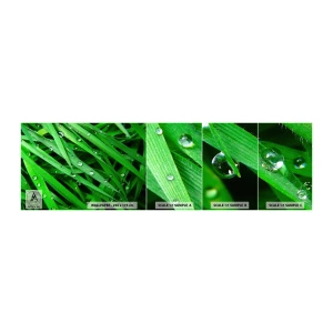 Échantillon de Papier Peint Autocollant Deluxe Sticker - Jouez dans le vert - Nature, L'herbe verte, Jardin - 100x30 cm