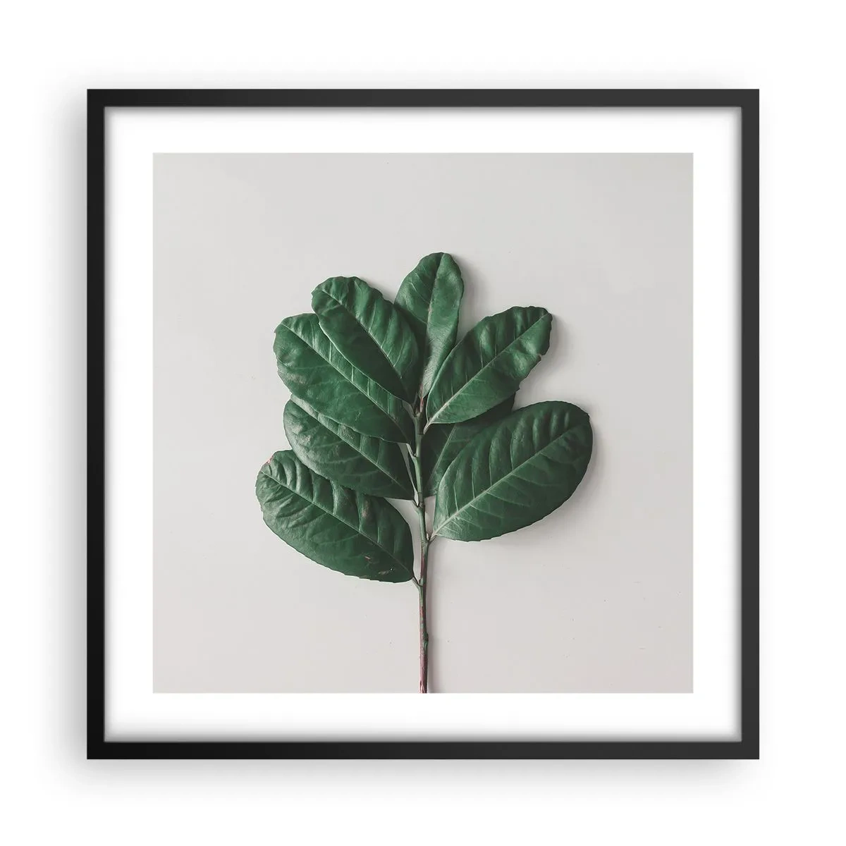Affiche dans un cadre noir - Poster - Dessin de la nature elle-même - 50x50 cm
