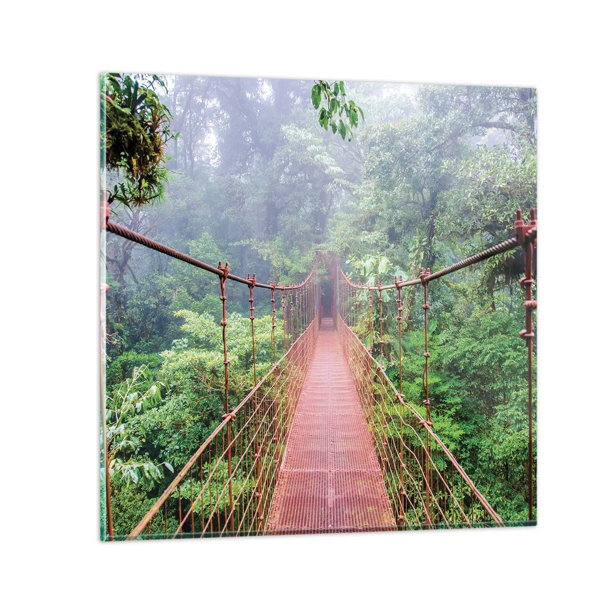 Impression sur verre - Image sur verre - Suspendu sur les couronnes - 50x50 cm