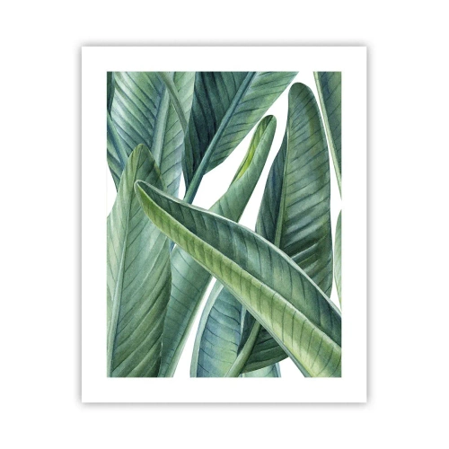 Affiche - Poster - La nature face à elle-même - 40x50 cm
