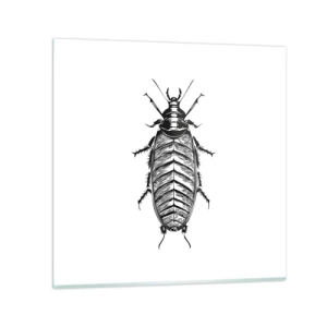 Impression sur verre - Image sur verre - Quel spécimen! - 40x40 cm