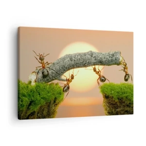 Impression sur toile - Image sur toile - Des fourmis construisent un pont de branches sur fond de soleil couchant. - 70x50cm - La joie, travaille d'équipe - Décoration murale moderne pour le salon et la chambre ARTTOR