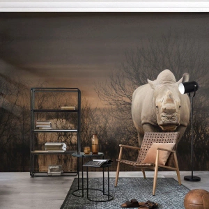 Papier peint sur mesure Autocollant Deluxe - Blanc contre nature - Rhinocéros, Animaux, Afrique
