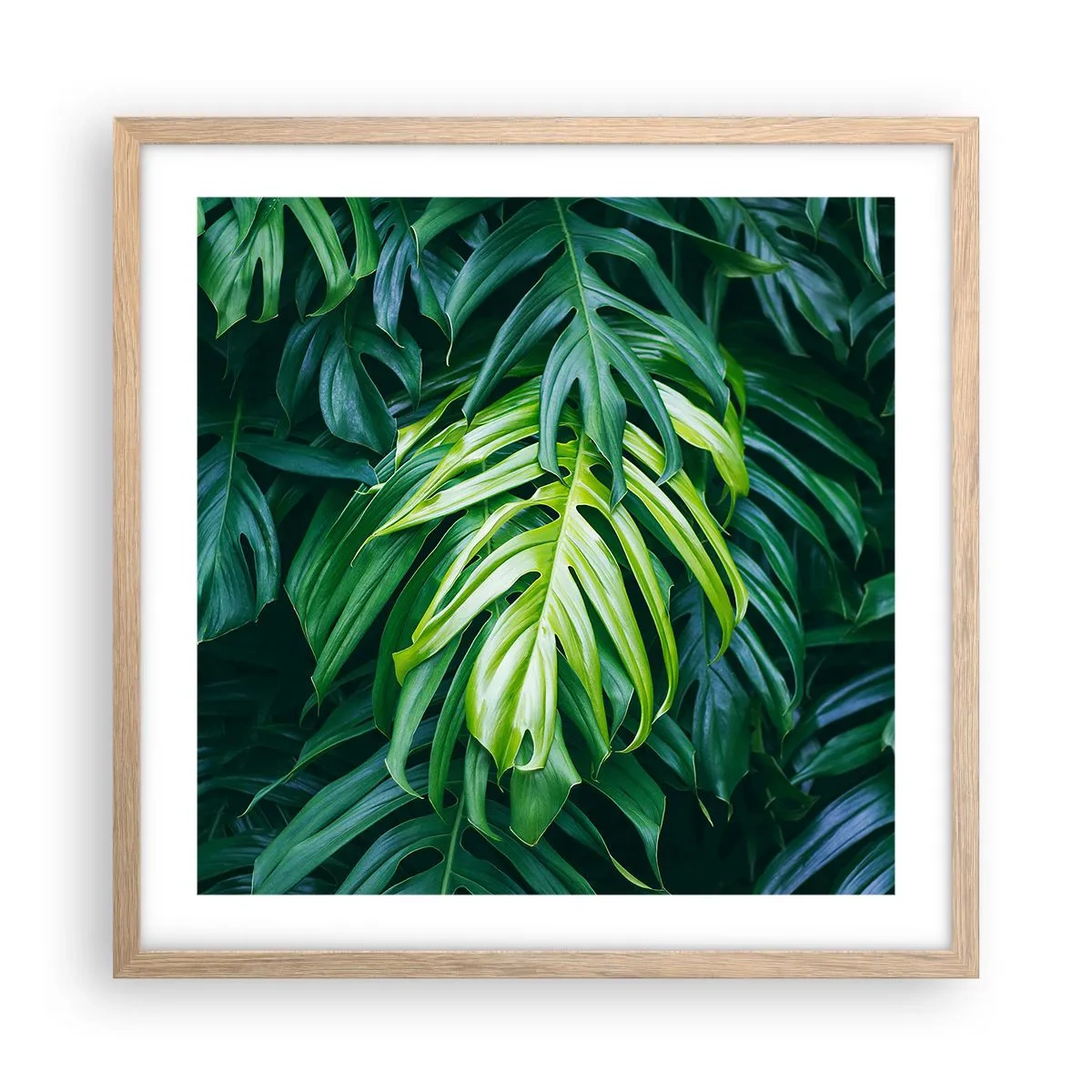 Affiche dans un chêne clair - Poster - Immergez-vous dans la fraîcheur - 50x50 cm
