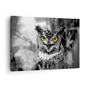 Impression sur toile - Image sur toile - Une photo en noir et blanc d'un hibou aux yeux jaunes - 70x50cm - Rien ne se cachera - Décoration murale moderne pour le salon et la chambre ARTTOR