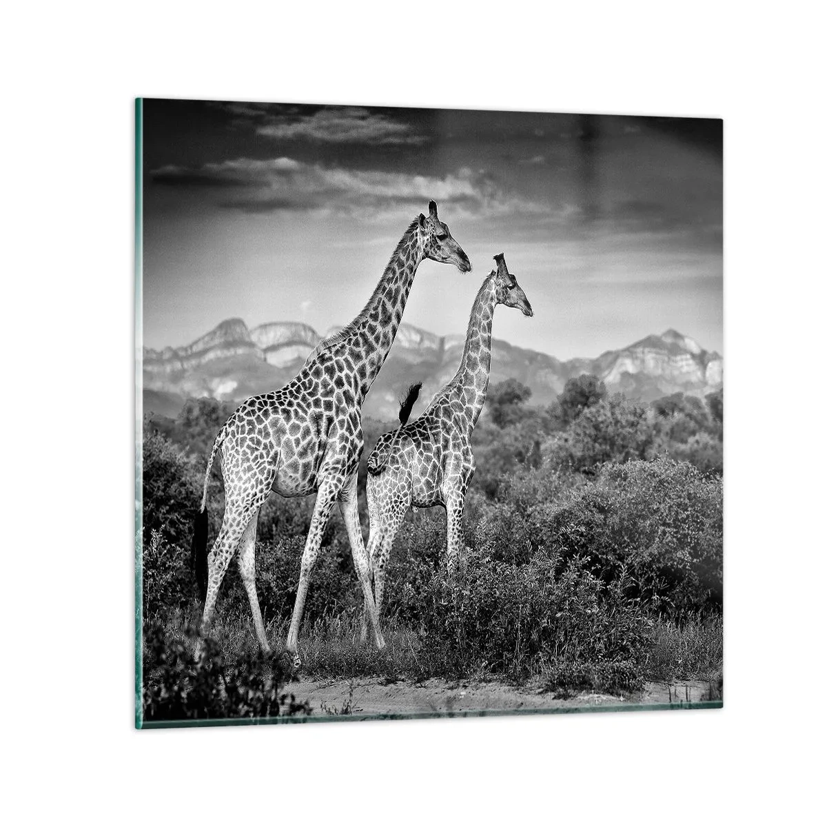 Impression sur verre - Image sur verre - Hautes sphères en Afrique - 70x70 cm