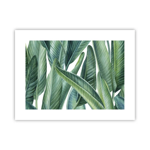 Affiche - Poster - La nature face à elle-même - 40x30 cm