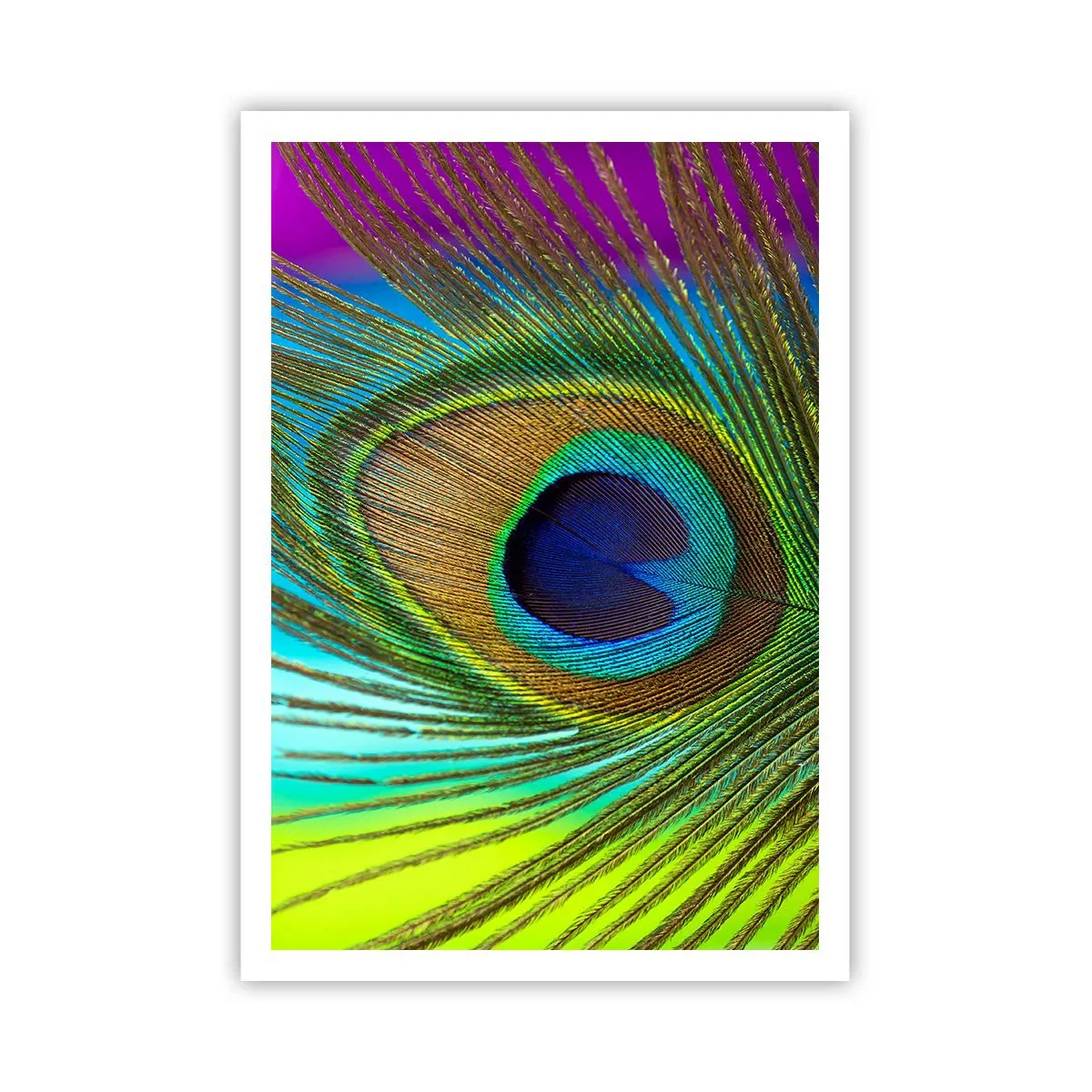 Affiche - Poster - Les yeux dans les yeux - 70x100 cm