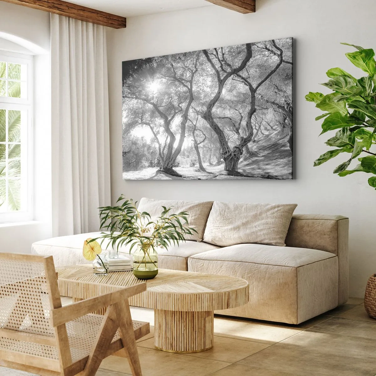 Impression sur toile - Image sur toile - Vue en noir et blanc d'arbres dans une oliveraie avec des rayons de soleil - 100x70cm - Dans l'oliveraie - Décoration murale moderne pour le salon et la chambre ARTTOR