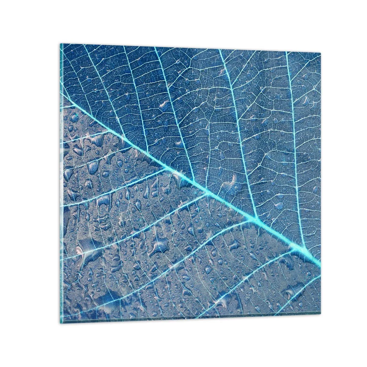 Impression sur verre - Image sur verre - La vie en bleu - 70x70 cm