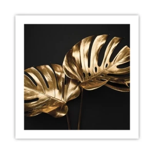 Affiche - Poster - Les trésors de la nature - 50x50 cm