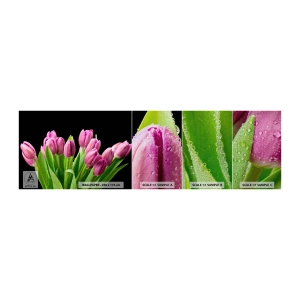 Échantillon de Papier Peint Premium Canvas - Joie printanière des lilas - Fleurs, Tulipes, Bouquet de fleurs - 100x30 cm