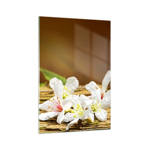 Impression sur verre - Image sur verre - Fleurs blanches sur fond de bois à la lumière naturelle - 70x100cm - Une promesse innocente - Décoration murale moderne pour le salon et la chambre ARTTOR