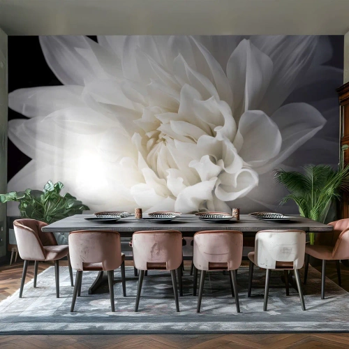 Papier Peint Photo Standard Eco - Le matin de la jeune mariéé - Fleur, Dahlia, Nature - 350x256 cm