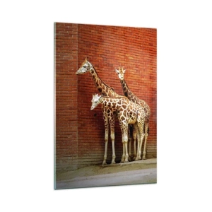 Impression sur verre - Image sur verre - Quatre girafes contre un mur de briques dans un décor artistique - 80x120cm - Voyez-vous des acacias ? - Décoration murale moderne pour le salon et la chambre ARTTOR