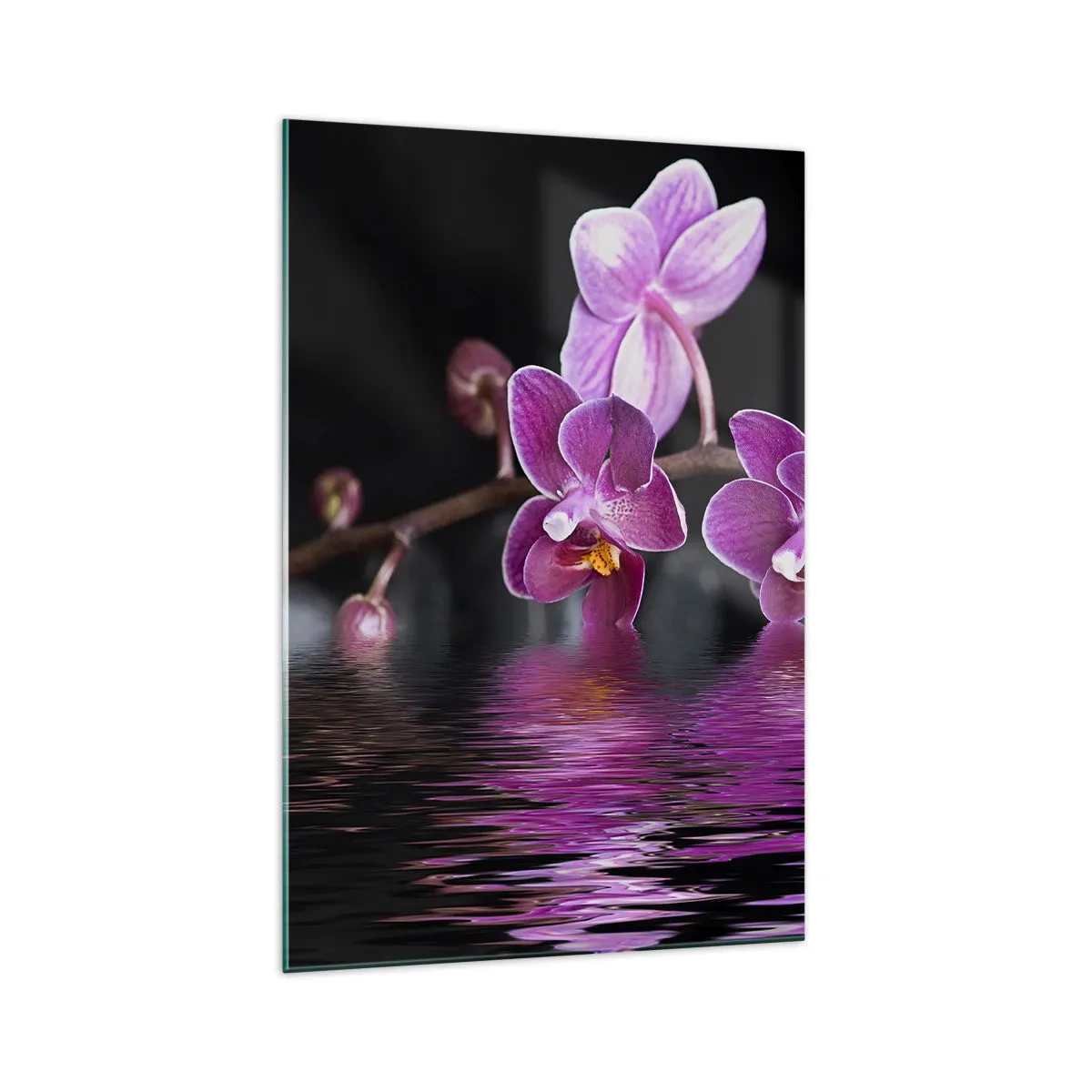 Impression sur verre - Image sur verre - Orchidées violettes sur une eau calme sur fond noir - 70x100cm - Reflet lilas de la beauté - Décoration murale moderne pour le salon et la chambre ARTTOR