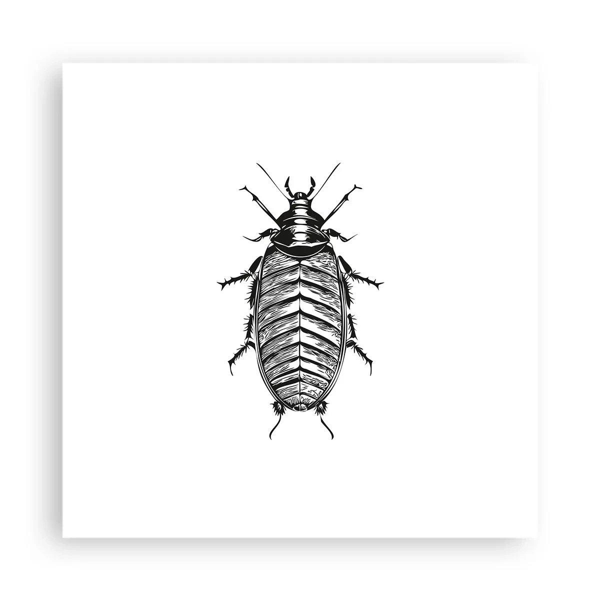 Affiche - Poster - Quel spécimen! - 40x40 cm