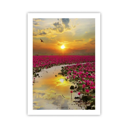 Affiche - Poster - Un champ de nénuphars roses au coucher du soleil - 50x70cm - La vie secrète du lac - Décoration murale moderne pour le salon et la chambre ARTTOR