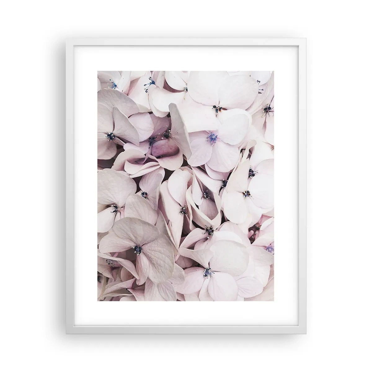 Affiche dans un cadre blanc - Poster - Dans un flot de fleurs - 40x50 cm