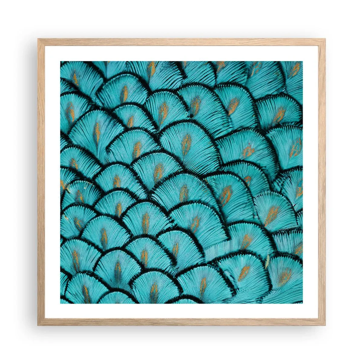 Affiche dans un chêne clair - Poster - Le grand gala des plumes - 60x60 cm