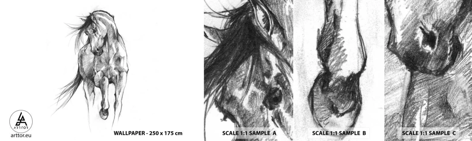 Échantillon de Papier Peint Autocollant Deluxe Sticker - D'un trot gracieux - Cheval, Graphique, Animaux - 100x30 cm