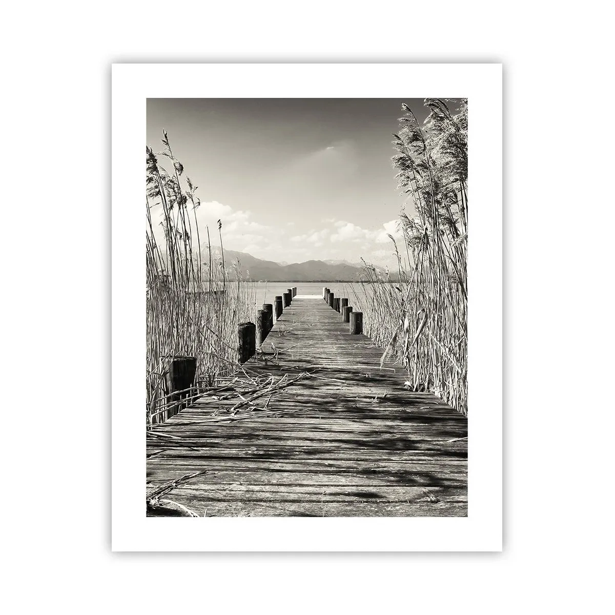 Affiche - Poster - Dans le calme de l'herbe - 40x50 cm