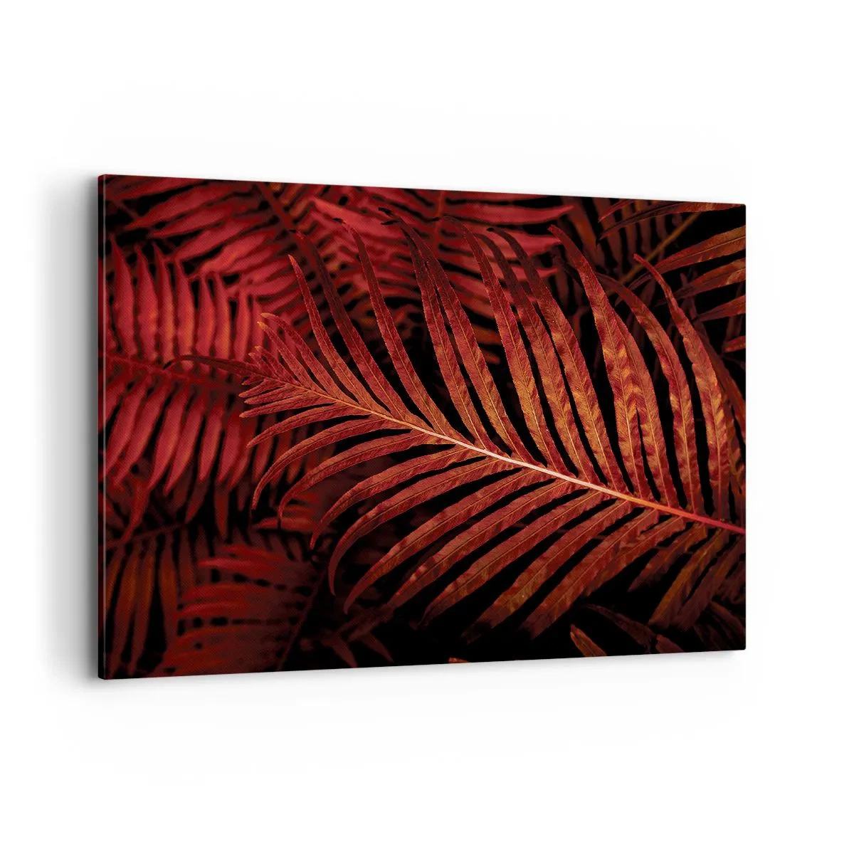 Impression sur toile - Image sur toile - Gros plan de feuilles tropicales rouges - 100x70cm - Chaleur de la vie - Décoration murale moderne pour le salon et la chambre ARTTOR