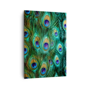 Impression sur toile - Image sur toile - Détails des plumes de paon aux couleurs riches - 70x100cm - Un regard de paon - Décoration murale moderne pour le salon et la chambre ARTTOR