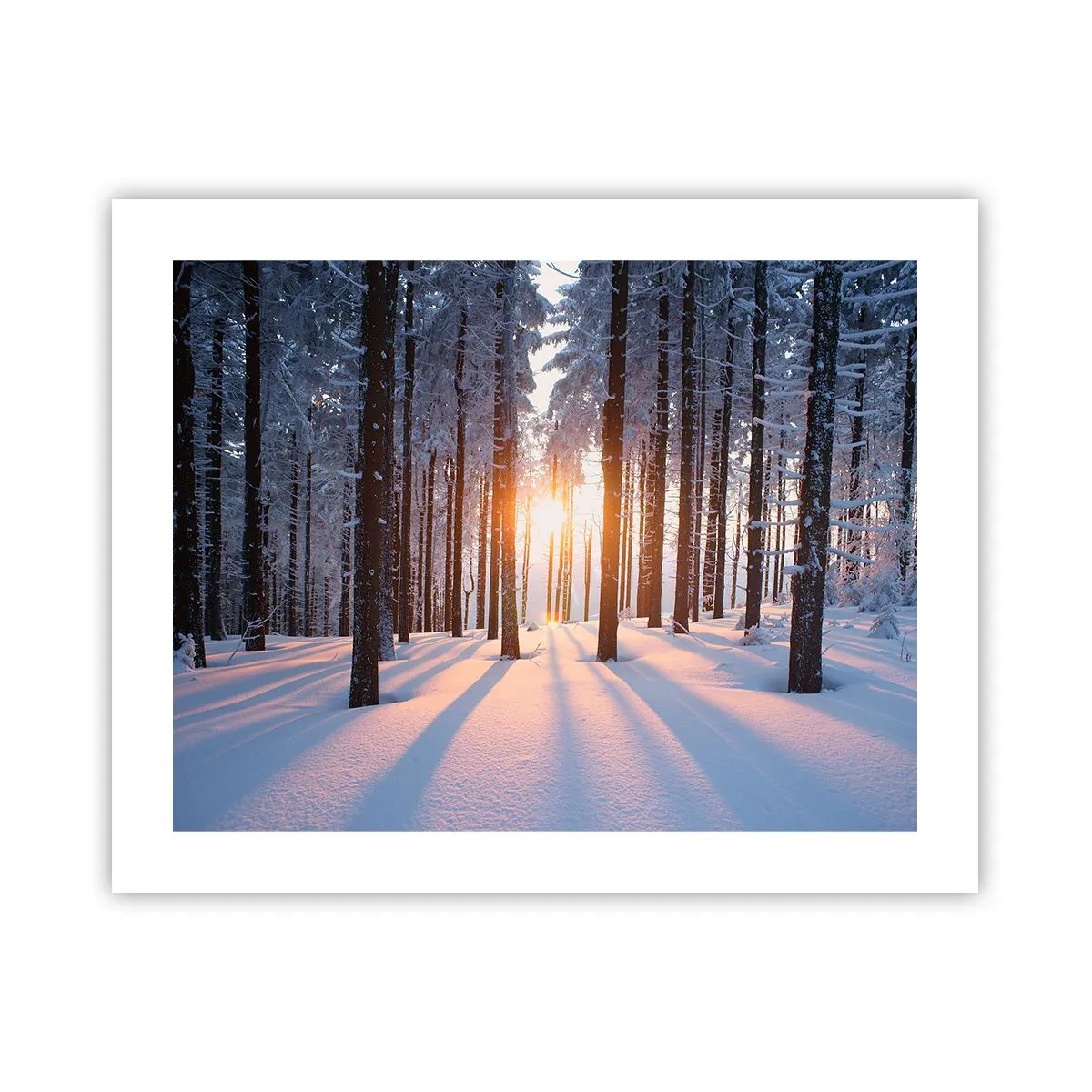 Affiche - Poster - Clairement en noir et blanc - 50x40 cm