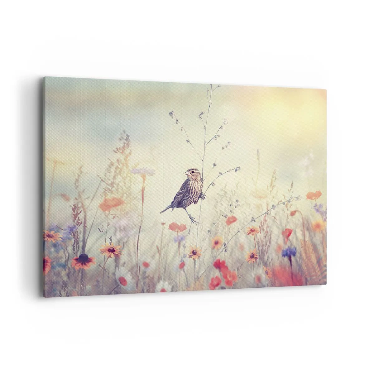 Impression sur toile - Image sur toile - Un oiseau sur fond de prairie colorée aux couleurs pastel - 100x70cm - Portrait d'oiseau sur pré en fond - Décoration murale moderne pour le salon et la chambre ARTTOR