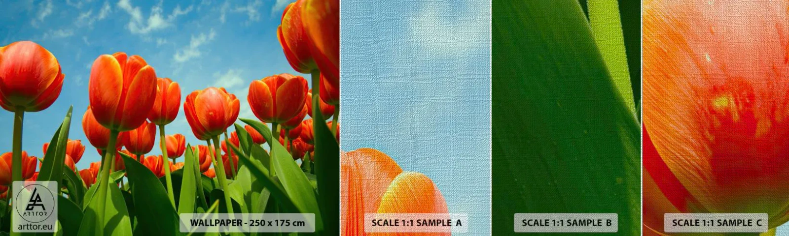 Échantillon de Papier Peint Premium Canvas - A part le ciel bleu, ils n'ont besoin de rien dans leur vie - Fleurs, Tulipes, Nature - 100x30 cm