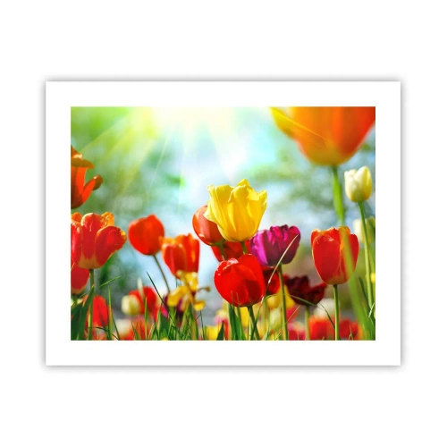 Affiche - Poster - Toutes les couleurs du soleil - 50x40 cm
