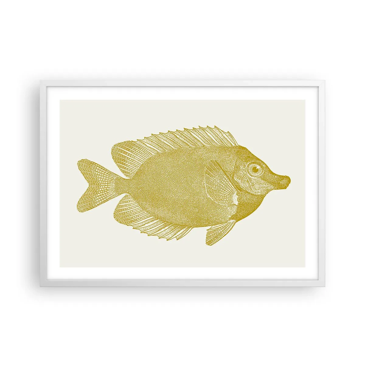Affiche dans un cadre blanc - Poster - Du poisson et c'est tout - 70x50 cm