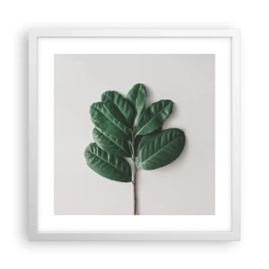 Affiche dans un cadre blanc - Poster - Dessin de la nature elle-même - 40x40 cm