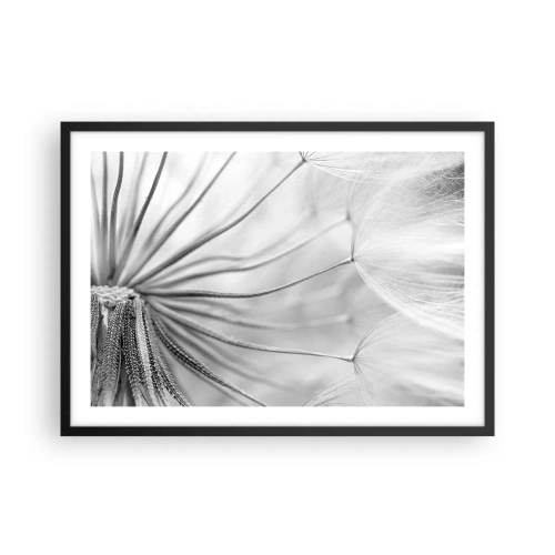 Affiche dans un cadre noir - Poster - Pissenlits délicats dans des tons noir et blanc - 70x50cm - Aigrette avant son envol - Décoration murale moderne pour le salon et la chambre ARTTOR